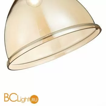 Подвесной светильник Evoluce Bacchi SLE114723-01 - Фото 1