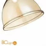 Подвесной светильник Evoluce Bacchi SLE114723-01 - Фото 1