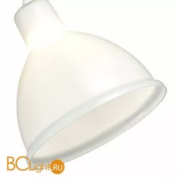 Подвесной светильник Evoluce Bacchi SLE114703-01 - Фото 1