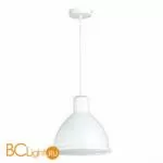 Подвесной светильник Evoluce Bacchi SLE114703-01 - Фото 0