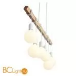 Подвесной светильник Evoluce Bagetti SL1142.503.06 - Фото 1