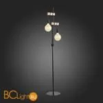 Торшер Evoluce Bagetti SL1142.405.01 - Фото 5