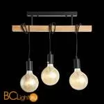 Подвесной светильник Evoluce Bagetti SL1142.403.03 - Фото 2