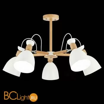 Люстра Evoluce Balcamo SLE103802-05 - Фото 1