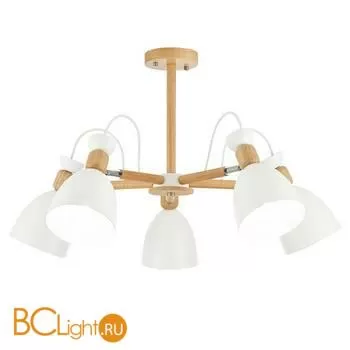 Люстра Evoluce Balcamo SLE103802-05