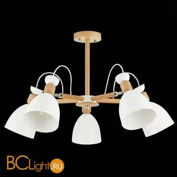 Люстра Evoluce Balcamo SLE103802-05 - Фото 2