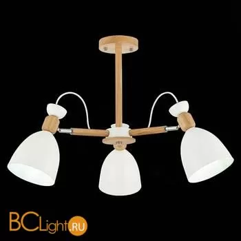 Люстра Evoluce Balcamo SLE103802-03 - Фото 2