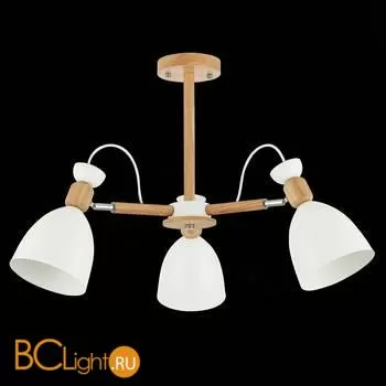 Люстра Evoluce Balcamo SLE103802-03 - Фото 3