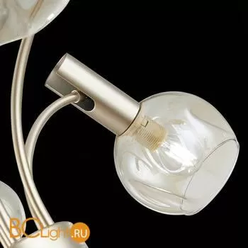 Люстра Evoluce Balchino SLE104203-06 - Фото 7