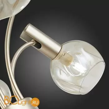 Люстра Evoluce Balchino SLE104203-06 - Фото 12