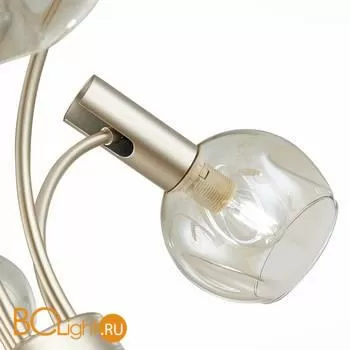 Люстра Evoluce Balchino SLE104203-06 - Фото 3