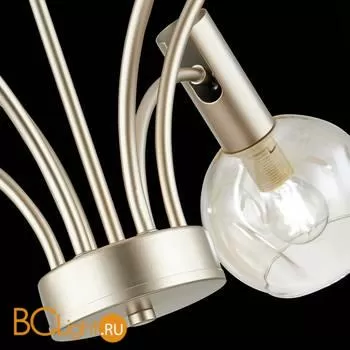 Люстра Evoluce Balchino SLE104203-06 - Фото 8