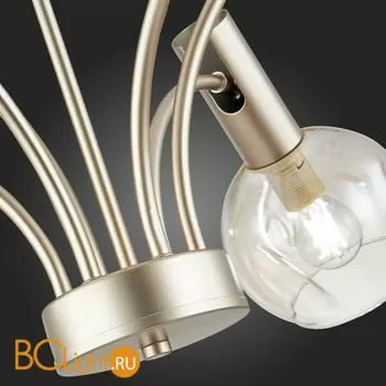 Люстра Evoluce Balchino SLE104203-06 - Фото 13