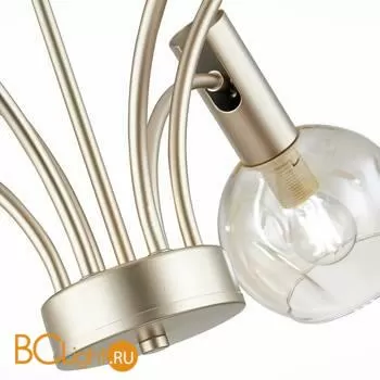 Люстра Evoluce Balchino SLE104203-06 - Фото 4