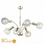 Люстра Evoluce Balchino SLE104203-06 - Фото 2