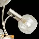 Люстра Evoluce Balchino SLE104203-06 - Фото 7