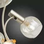 Люстра Evoluce Balchino SLE104203-06 - Фото 12