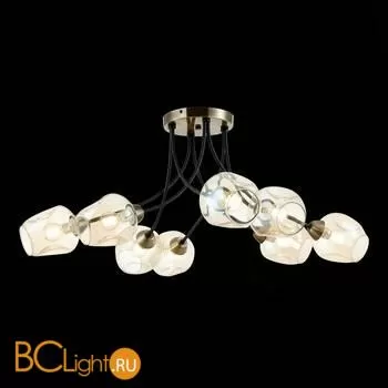 Люстра Evoluce Besano SLE205302-08 - Фото 2