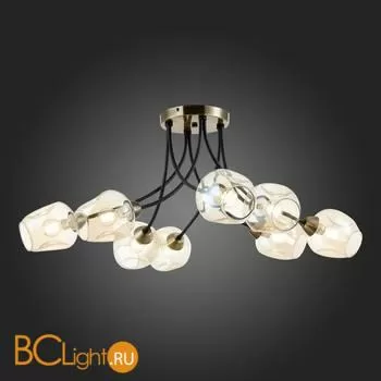 Люстра Evoluce Besano SLE205302-08 - Фото 5