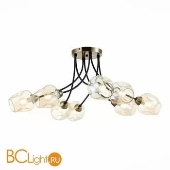 Люстра Evoluce Besano SLE205302-08