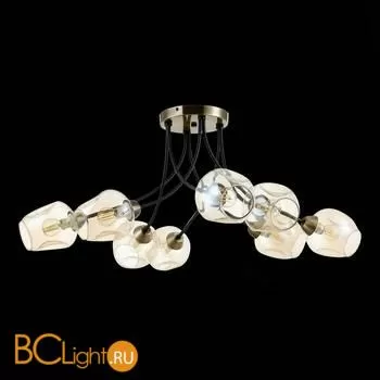 Люстра Evoluce Besano SLE205302-08 - Фото 3