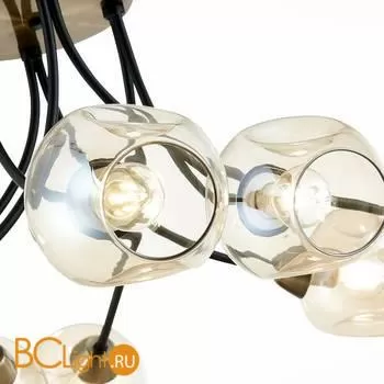 Люстра Evoluce Besano SLE205302-08 - Фото 1