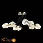 Люстра Evoluce Besano SLE205302-08 - Фото 3