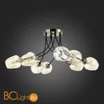 Люстра Evoluce Besano SLE205302-08 - Фото 6