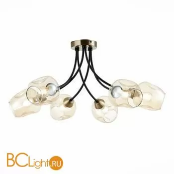 Люстра Evoluce Besano SLE205302-06