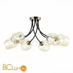 Люстра Evoluce Besano SLE205302-06