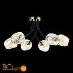 Люстра Evoluce Besano SLE205302-06 - Фото 3