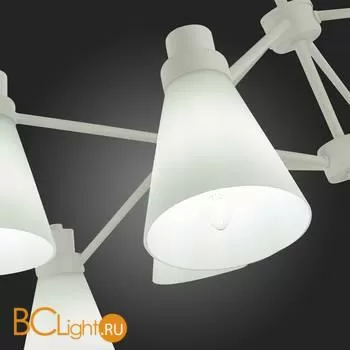 Люстра Evoluce Biane SLE103502-08 - Фото 7