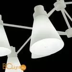 Люстра Evoluce Biane SLE103502-08 - Фото 4