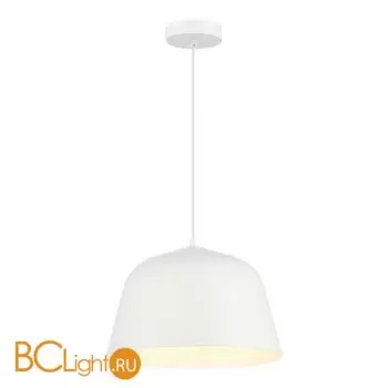 Подвесной светильник Evoluce BLANK SLE1805-503-01