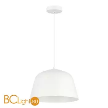 Подвесной светильник Evoluce BLANK SLE1805-503-01 - Фото 1