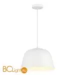 Подвесной светильник Evoluce BLANK SLE1805-503-01