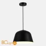 Подвесной светильник Evoluce BLANK SLE1805-403-01