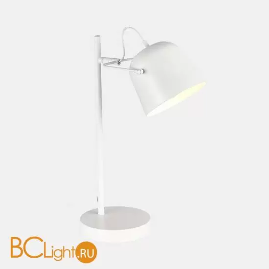 Настольная лампа Evoluce BLANK SLE1805-504-01