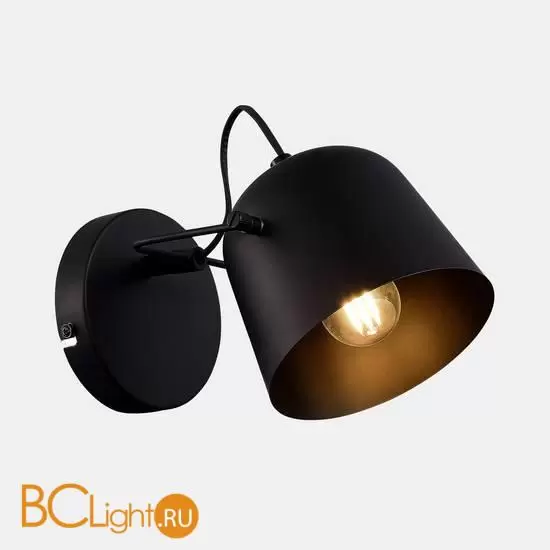 Настенный светильник Evoluce BLANK SLE1805-401-01