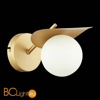 Бра Evoluce Bolzano SLE220501-01