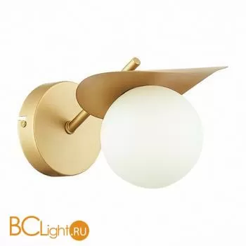 Бра Evoluce Bolzano SLE220501-01 - Фото 1