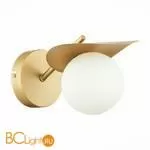 Бра Evoluce Bolzano SLE220501-01 - Фото 1