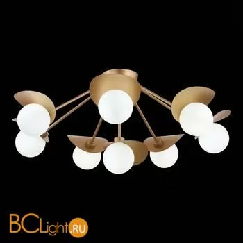 Люстра Evoluce Bolzano SLE220502-08 - Фото 5