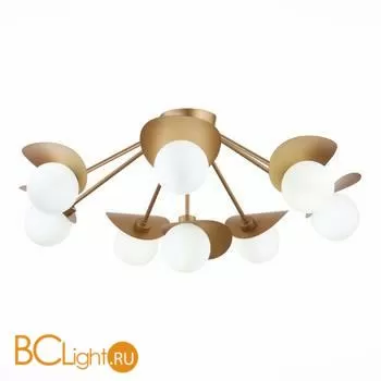 Люстра Evoluce Bolzano SLE220502-08 - Фото 0