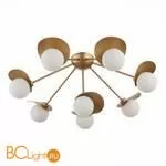 Люстра Evoluce Bolzano SLE220502-08 - Фото 3