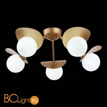 Люстра Evoluce Bolzano SLE220502-05 - Фото 3