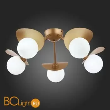 Люстра Evoluce Bolzano SLE220502-05