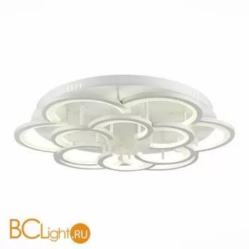 Потолочный светильник Evoluce Bonn SLE200502-12