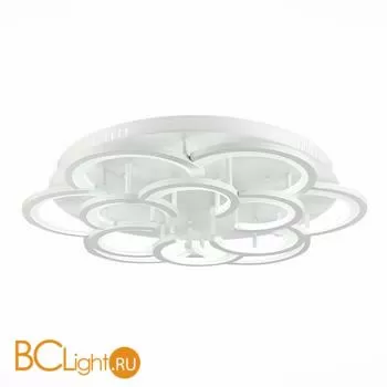 Потолочный светильник Evoluce Bonn SLE200502-12 - Фото 1