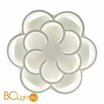 Потолочный светильник Evoluce Bonn SLE200502-12 - Фото 3